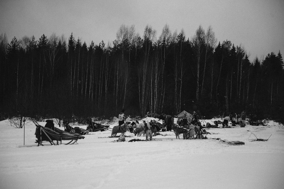 Северная Надежда. Виктор Вытольский —репортажный и событийный фотограф в Москве