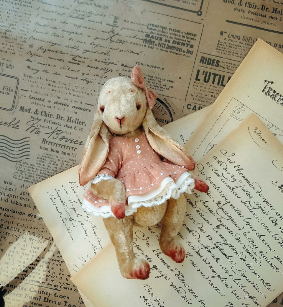 Тедди. Фотограф Ольга Сальманович