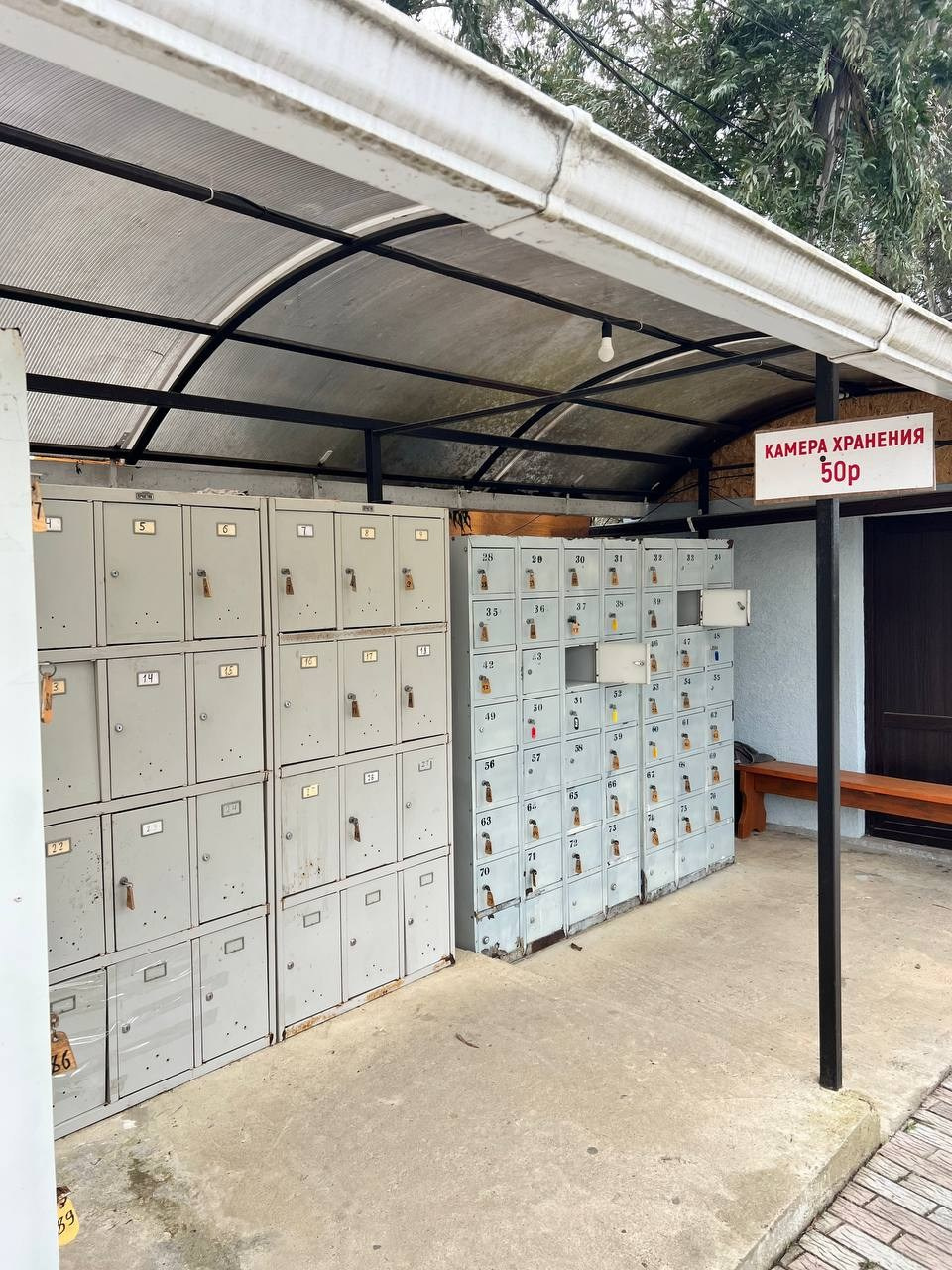 Профессиональный свадебный фотограф в Сочи для вашего идеального дня. Свадебный фотограф в Абхазии, Сухум, Гагра, Сочи