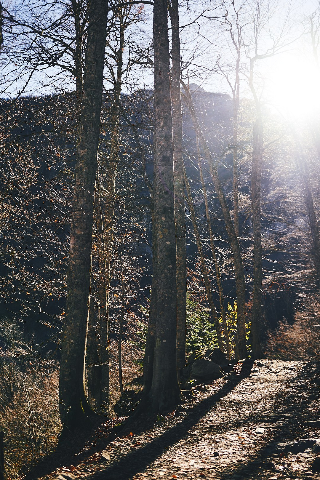 Фотографии с похода на водопад Поликария. Фотограф в Сочи Катя Гончарова