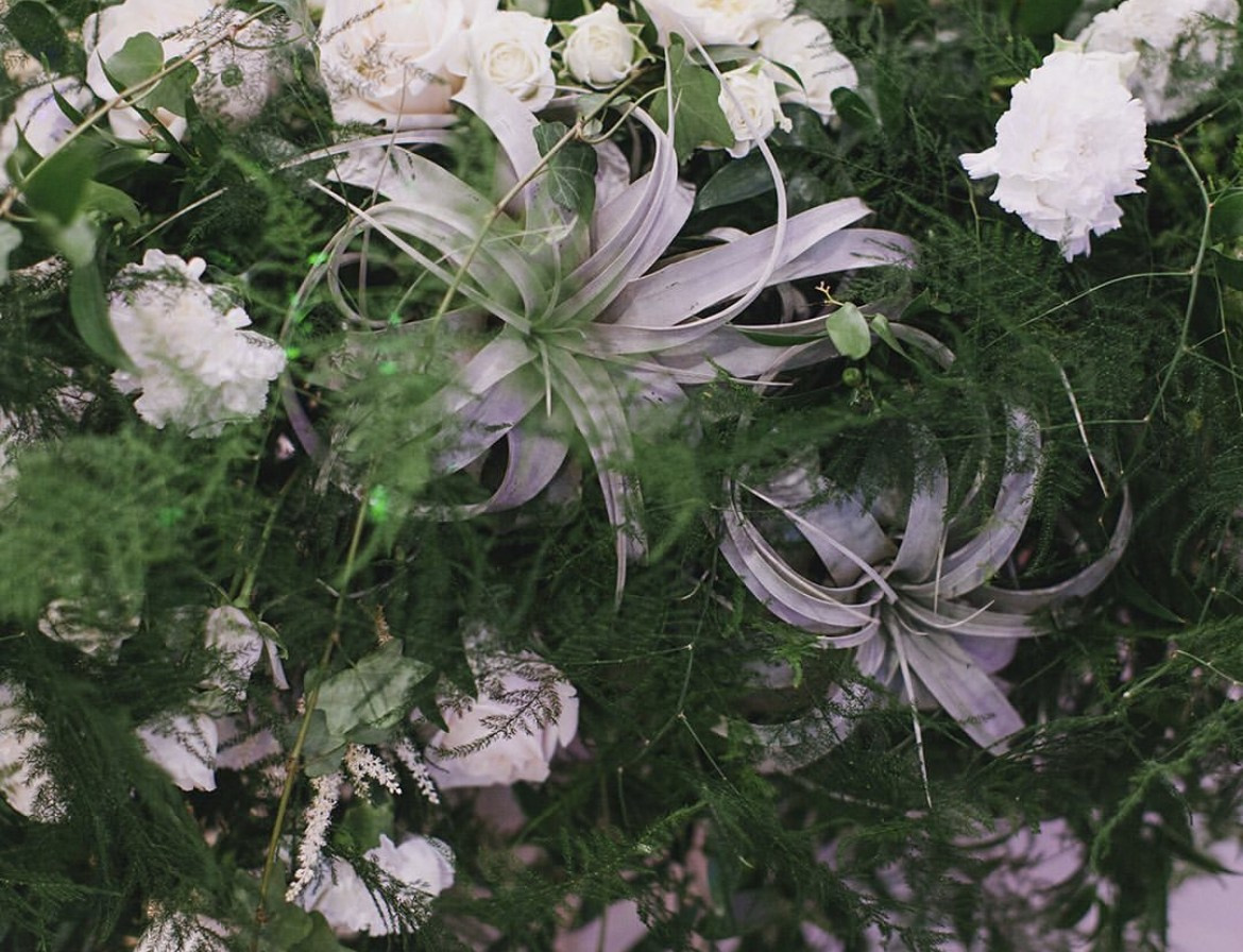 Камилла и Кирил. Ксения Почтарь. Декоратор и флорист, город Владивосток