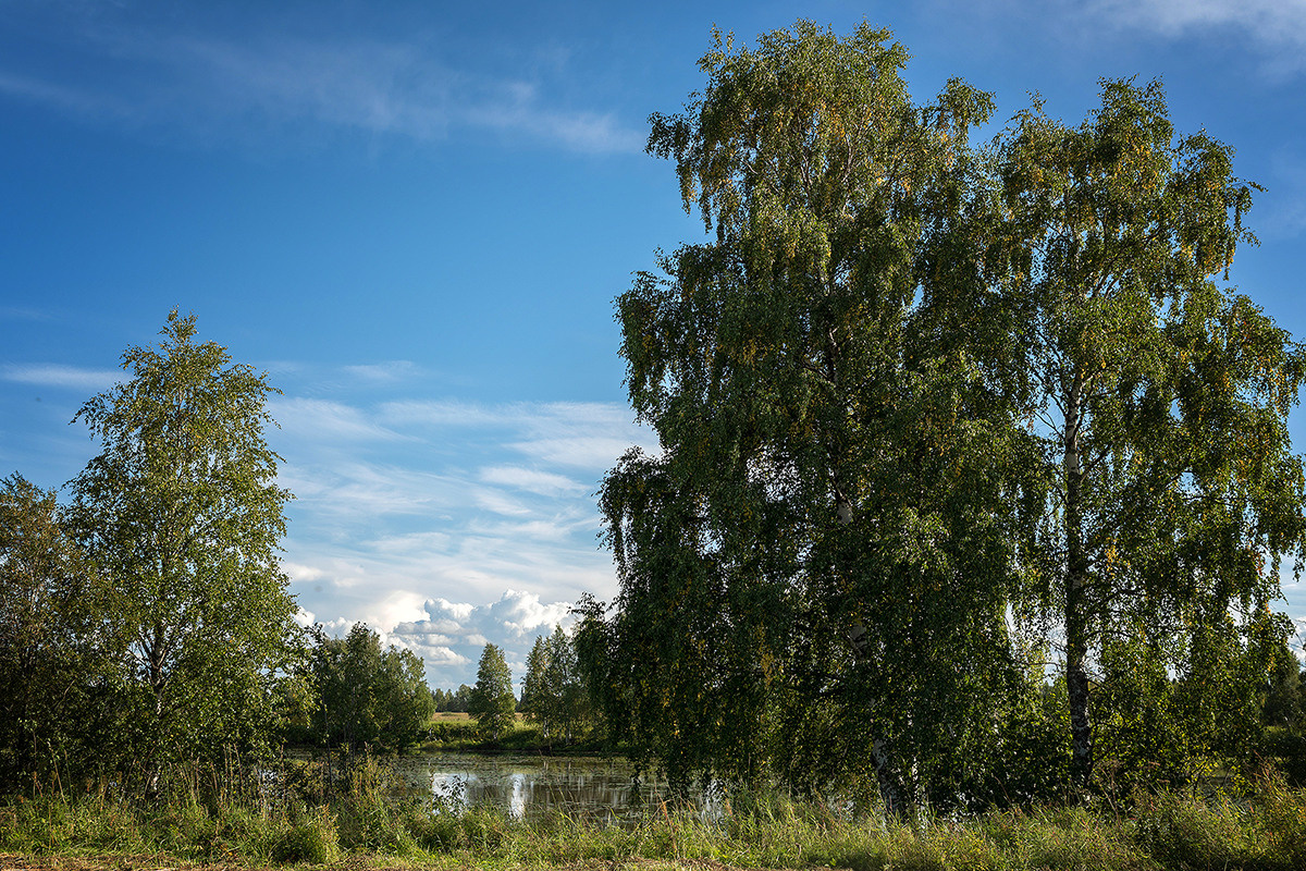 Разное. Фотограф в с. Ижма Республика Коми Терентьев Сергей