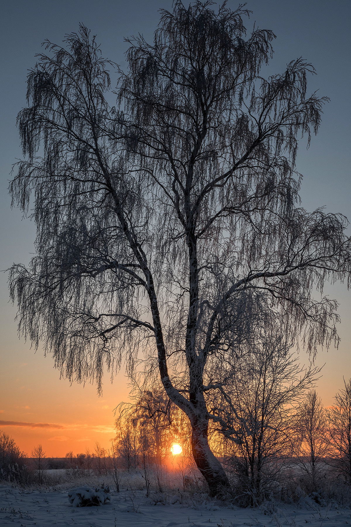 Разное. Фотограф в с. Ижма Республика Коми Терентьев Сергей