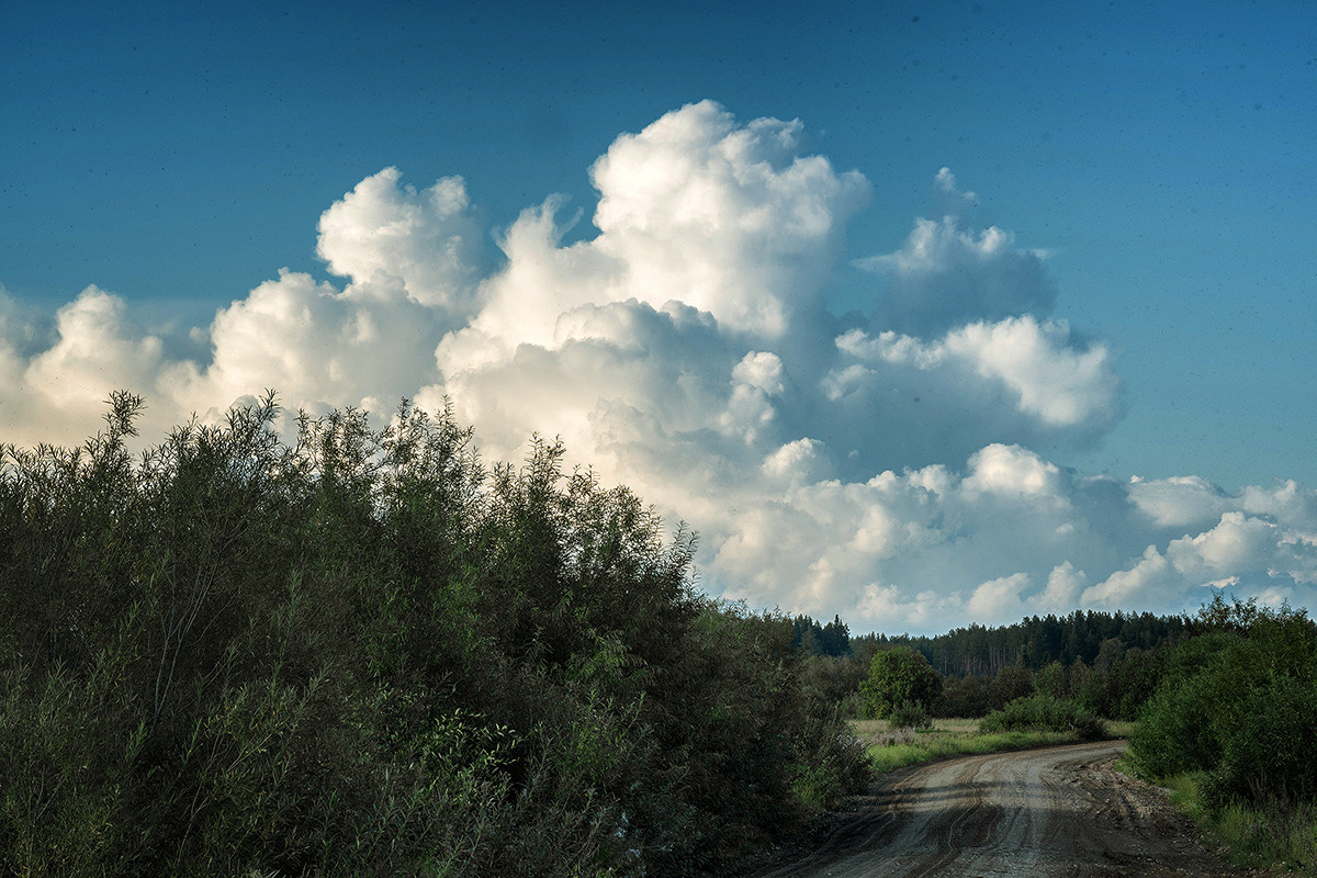 Разное. Фотограф в с. Ижма Республика Коми Терентьев Сергей