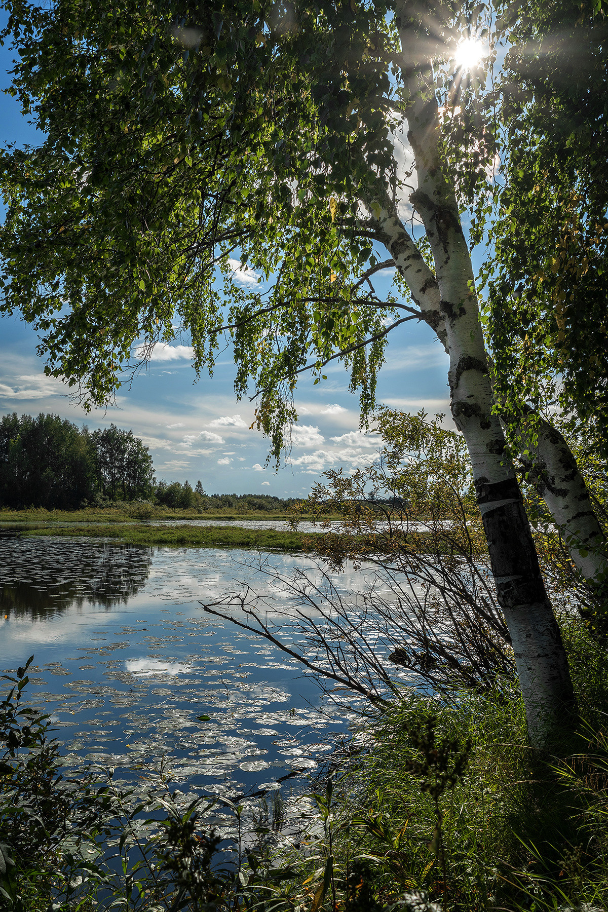 Разное. Фотограф в с. Ижма Республика Коми Терентьев Сергей