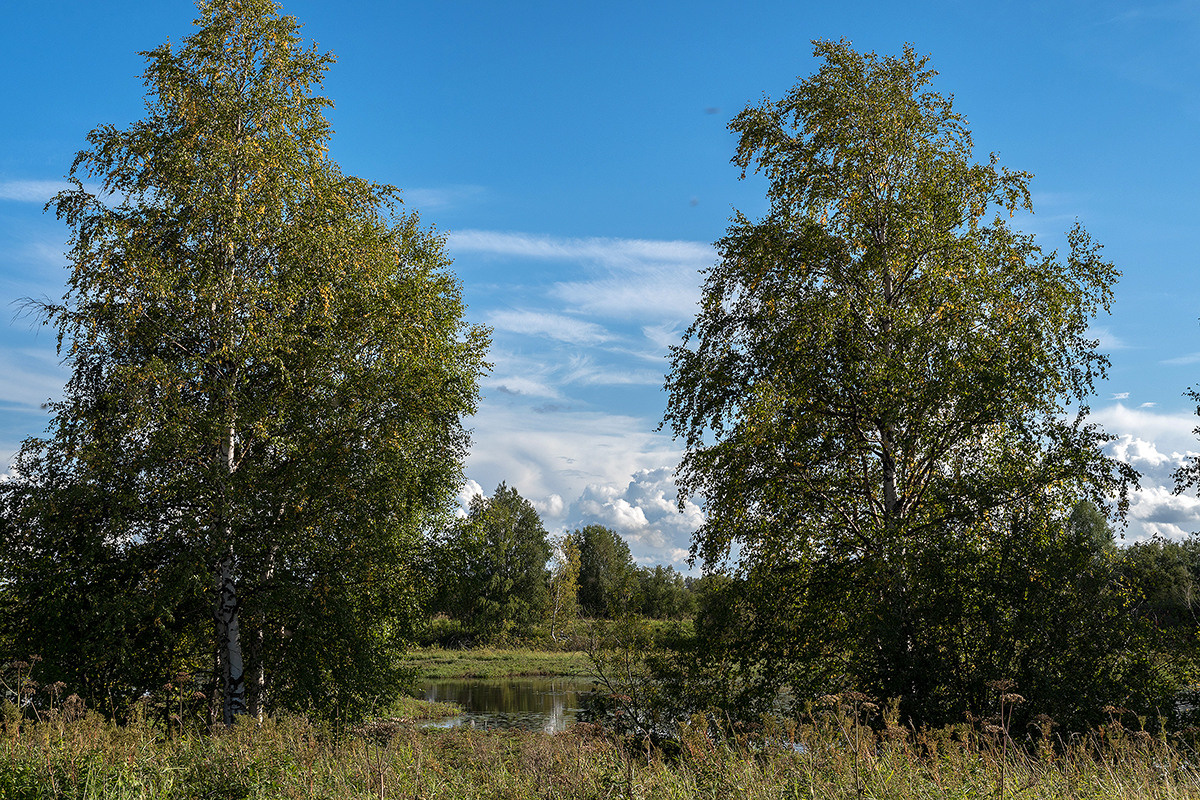 Разное. Фотограф в с. Ижма Республика Коми Терентьев Сергей