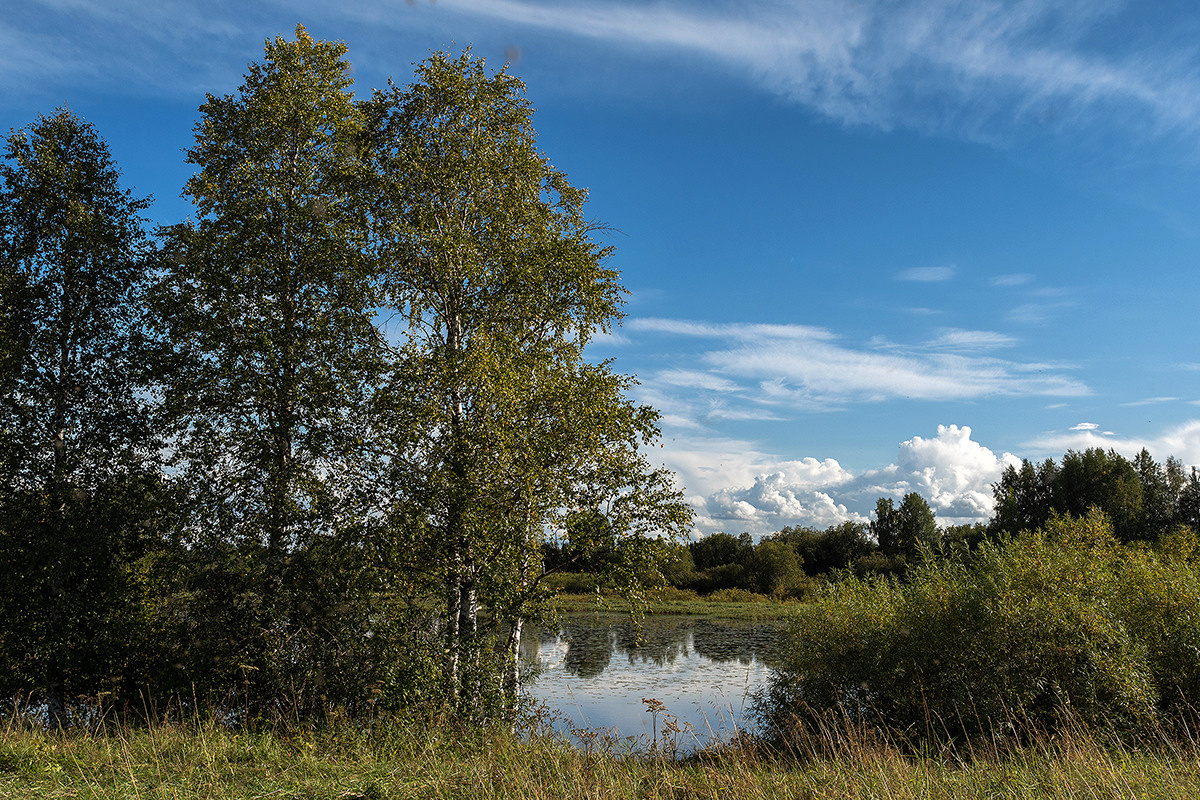 Разное. Фотограф в с. Ижма Республика Коми Терентьев Сергей