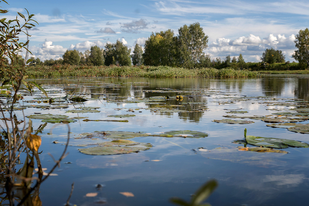 Разное. Фотограф в с. Ижма Республика Коми Терентьев Сергей