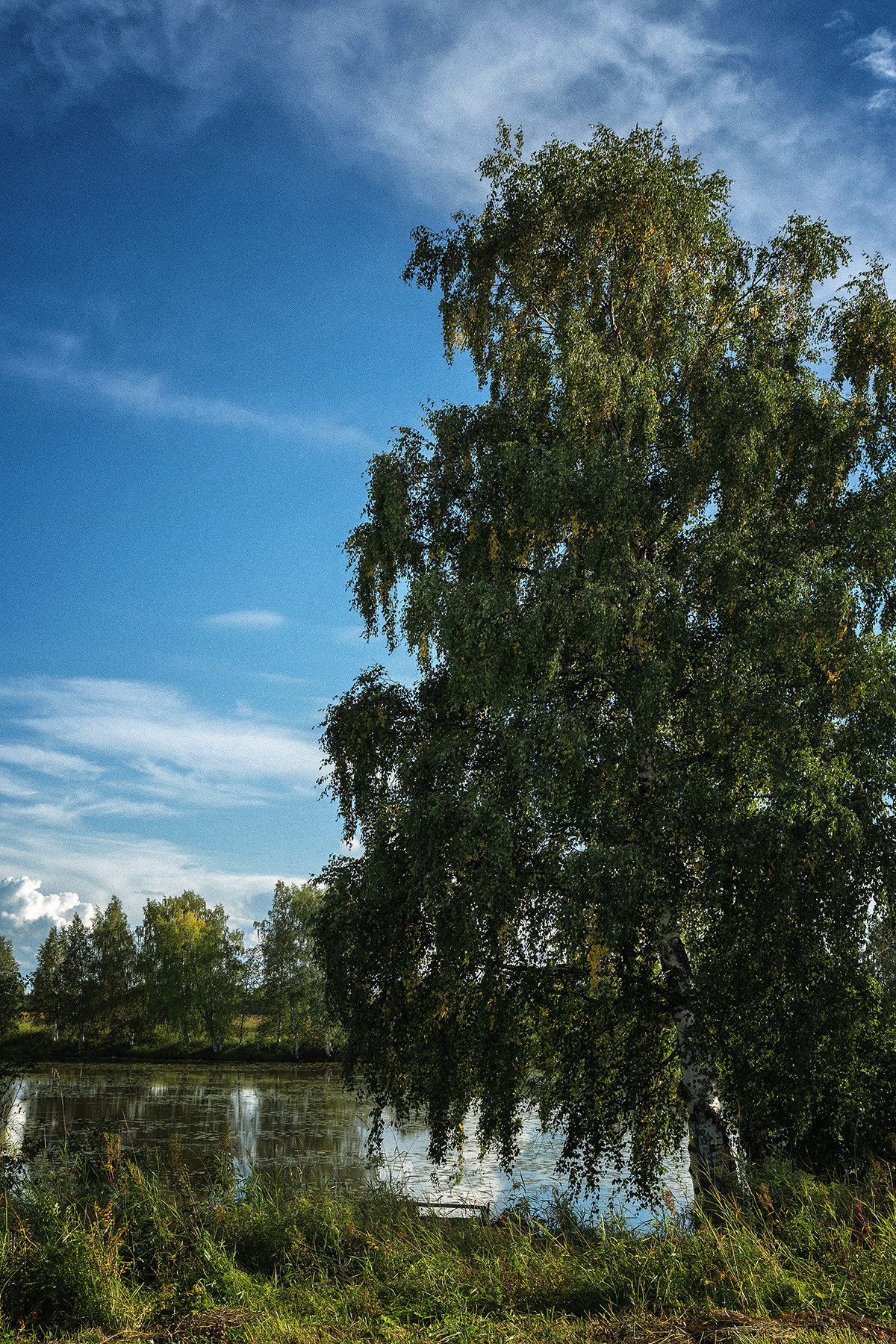 Разное. Фотограф в с. Ижма Республика Коми Терентьев Сергей