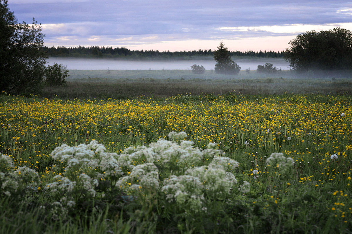 Разное. Фотограф в с. Ижма Республика Коми Терентьев Сергей