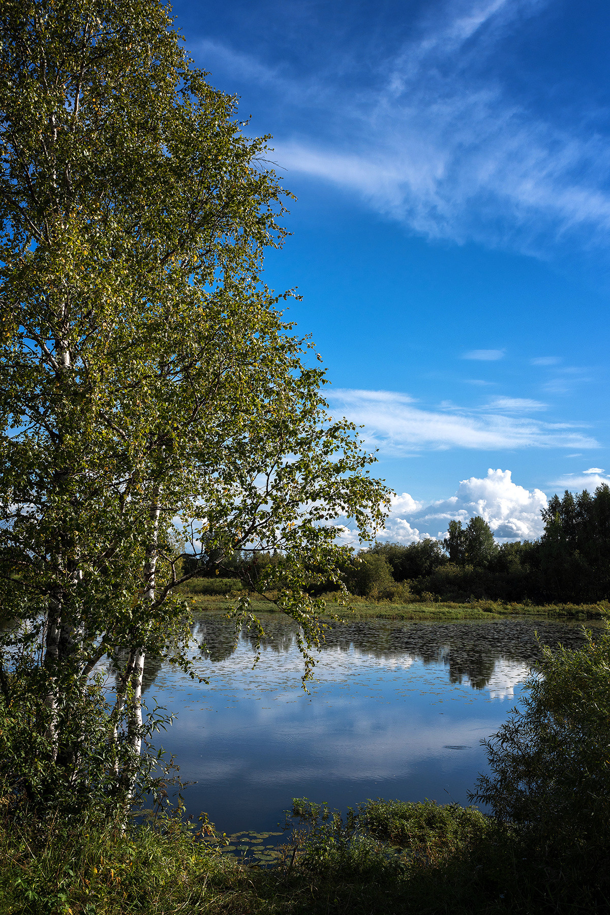 Разное. Фотограф в с. Ижма Республика Коми Терентьев Сергей