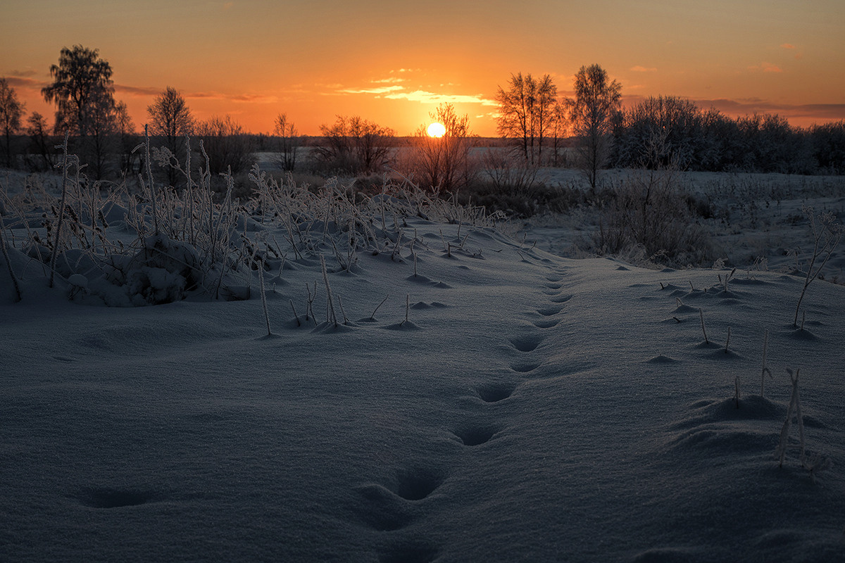 Разное. Фотограф в с. Ижма Республика Коми Терентьев Сергей