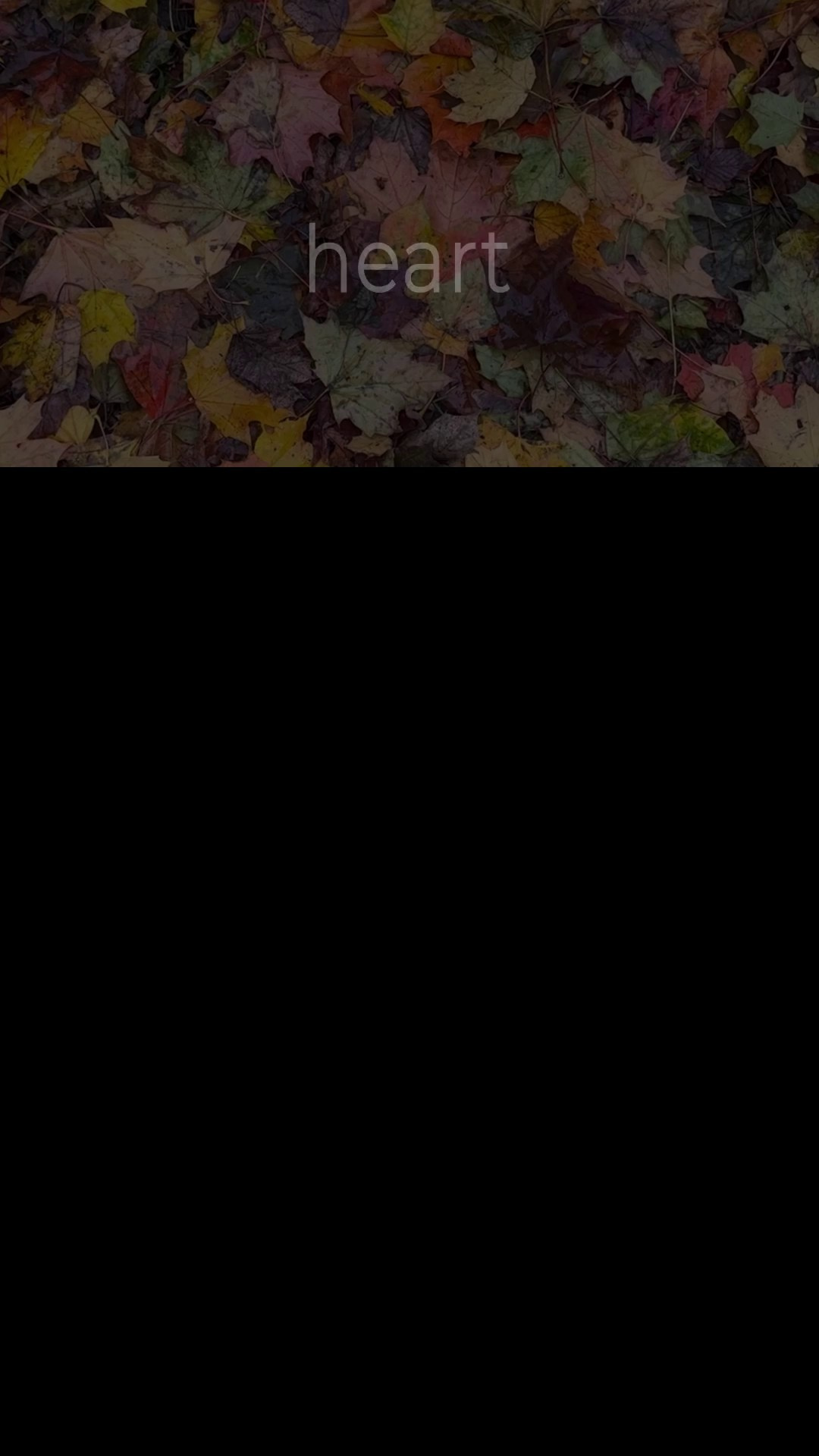 Бэкстейдж фотографа, как проходит съемка. Фото и видео Москва. Свадебный фотограф, видеограф, фотосессии, видеосъемка