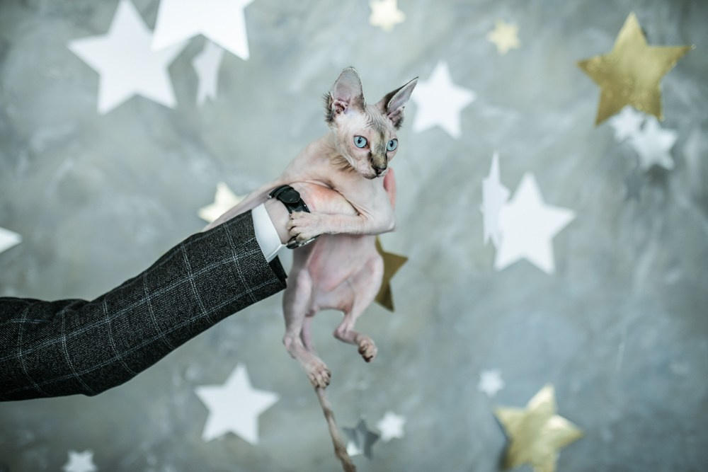 Реклама. Фотограф Александр Ямпольский