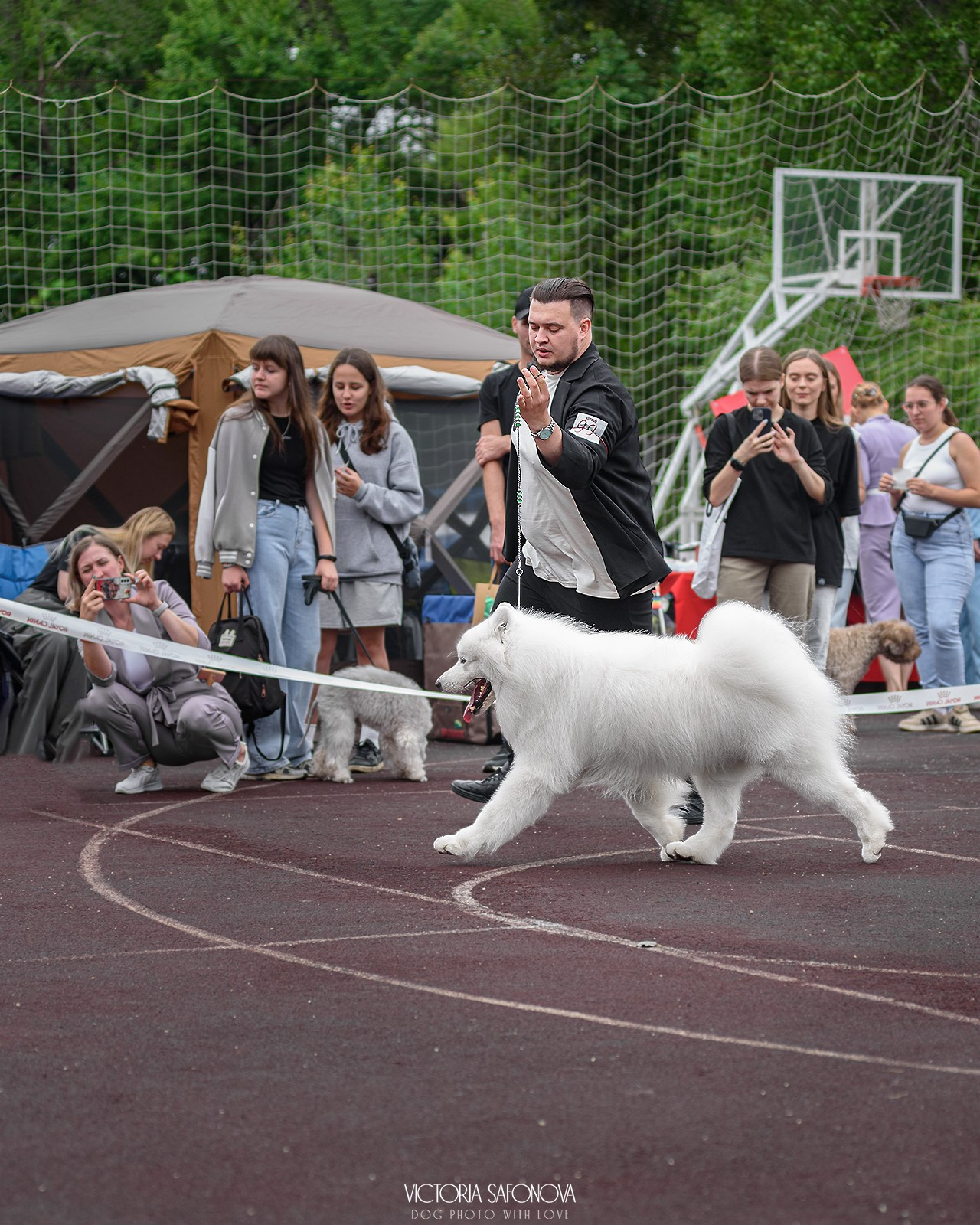 10 августа 2024. Благовещенск. Фотограф анималист Благовещенск. Сафонова Виктория