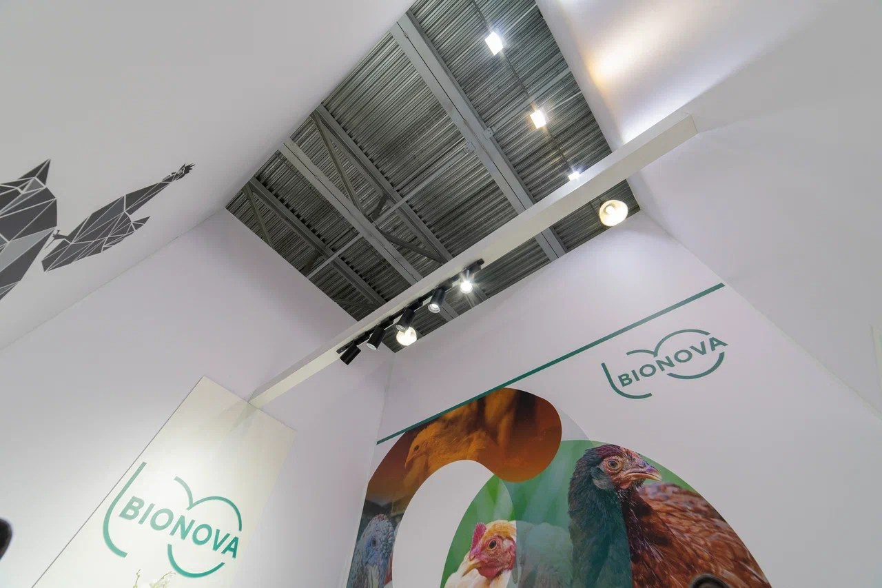 Выставочные стенды. Профессиональный портретный фотограф в Москве Владимир Глаголев