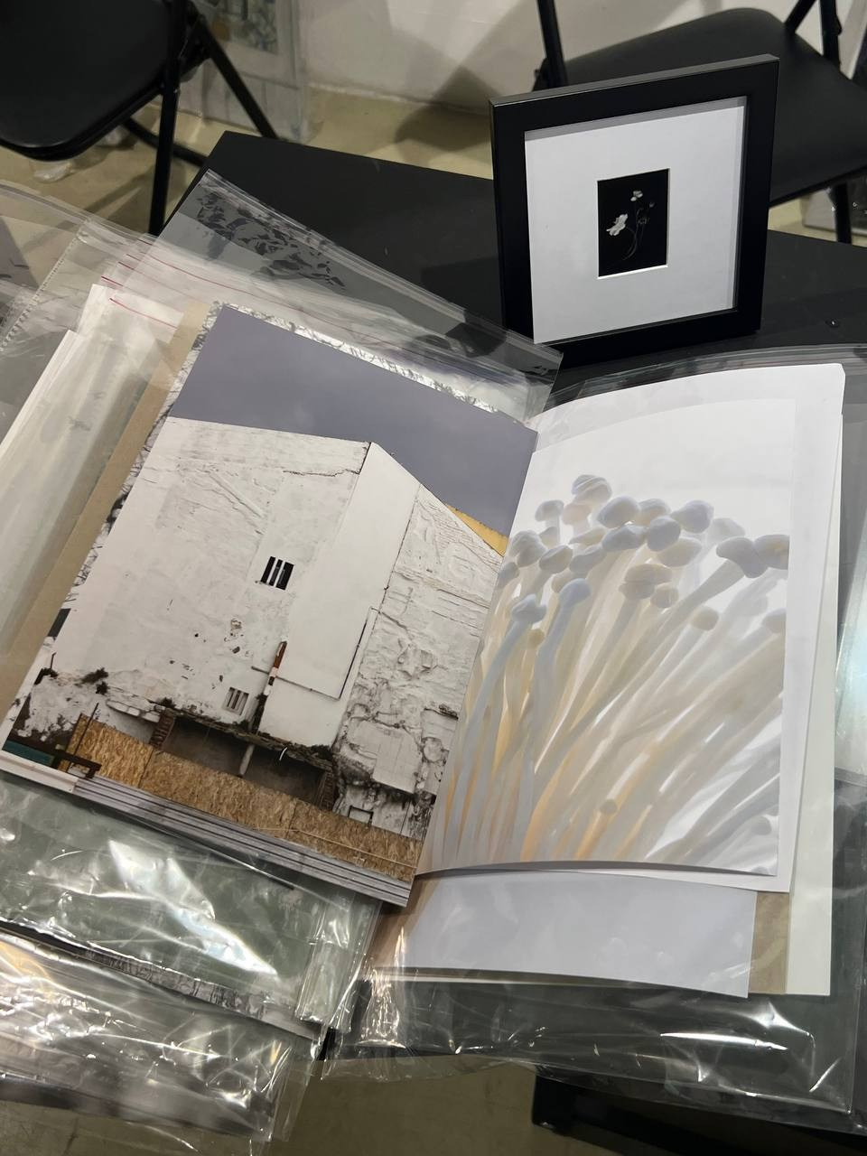 WIN-WIN art fair 2025. Фотограф алина стерхова, алина стерхова фотограф, фотограф москва