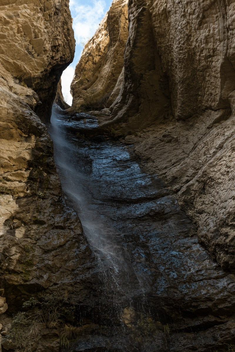 Природа. Photomantis