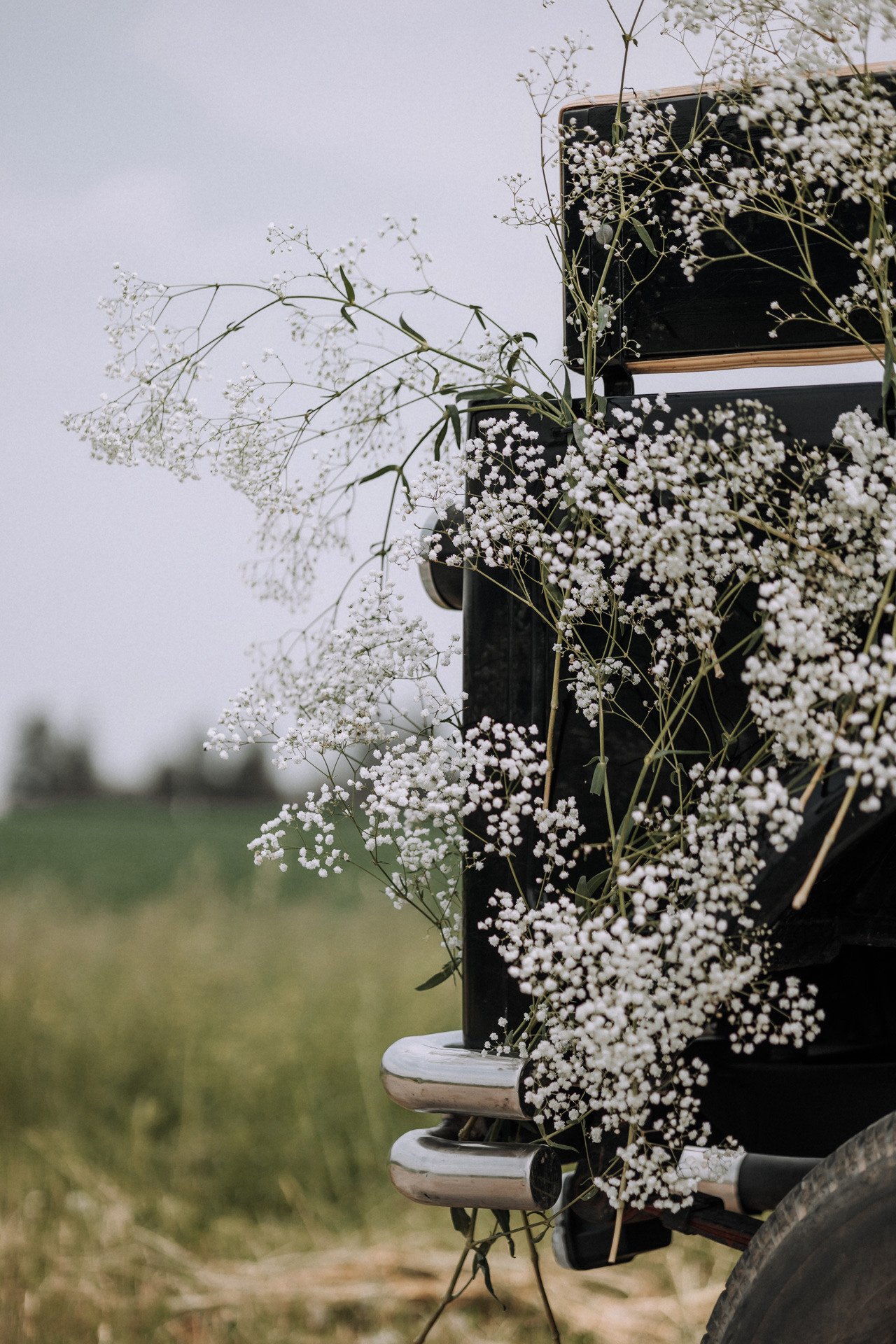 Аннна и Евгений. Свадебный фотограф Минск РБ