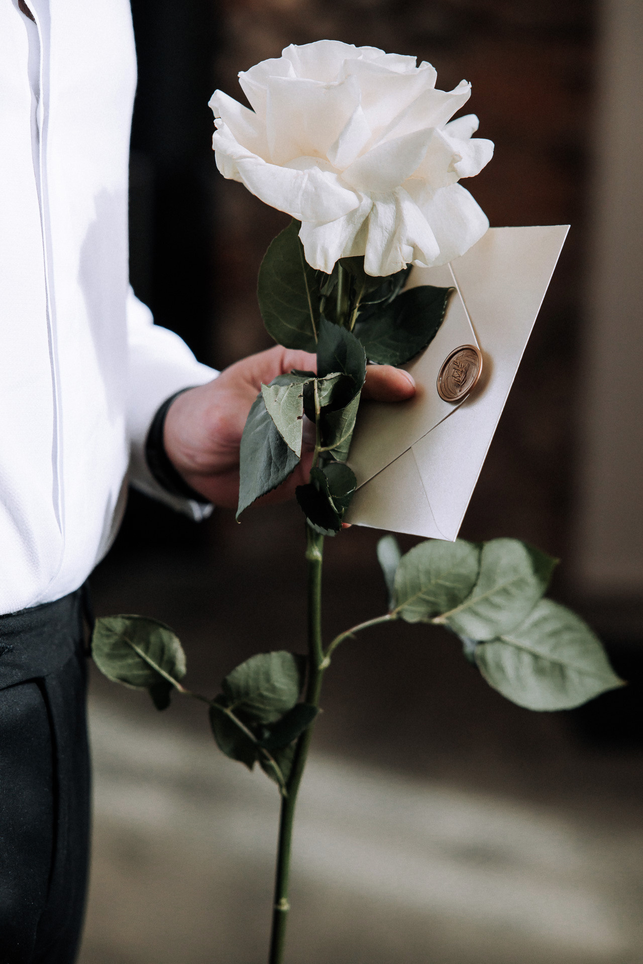 Андрей и Екатерина. Свадебный фотограф Минск РБ