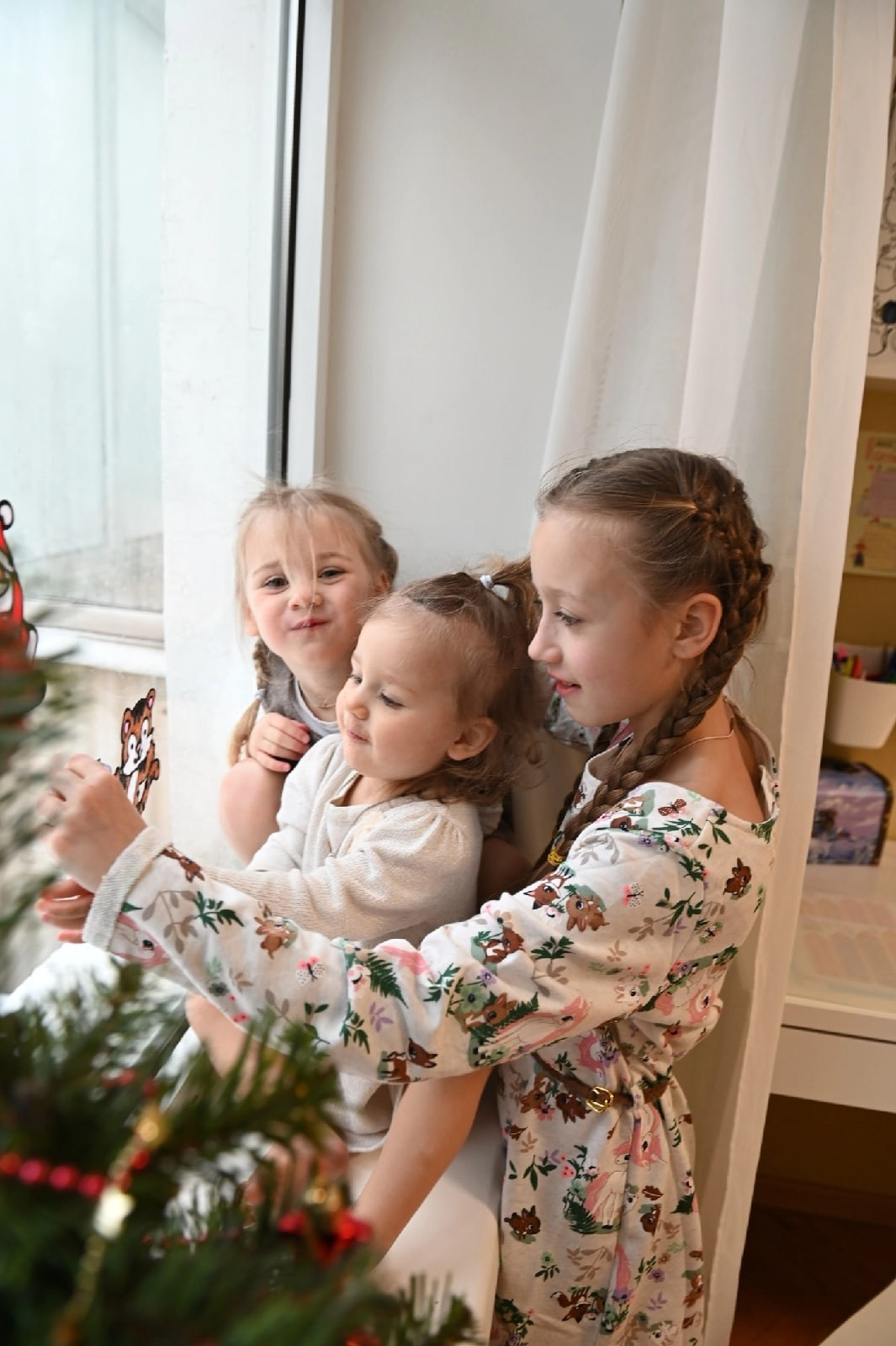 Семьи. Главная