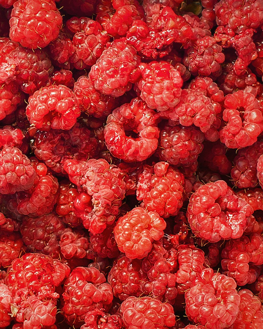 Фото еды и напитков для маркетплейсов. Фотограф и художник Kerry Moore