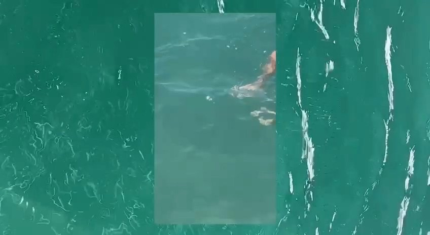 Installation. Ольга Лончакова, фотограф, режиссер