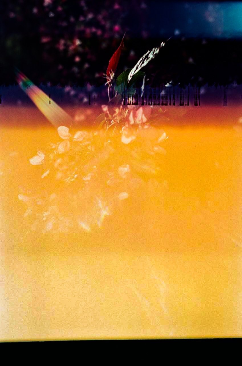 Film. Ольга Лончакова, фотограф, режиссер