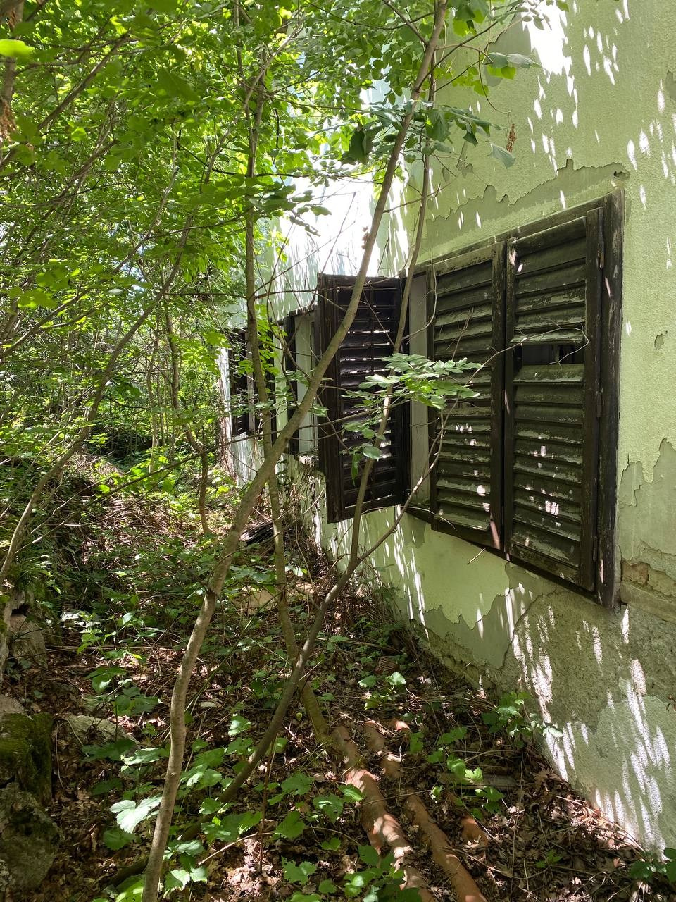 Александр Кузнецов — Эффект пульсации времени