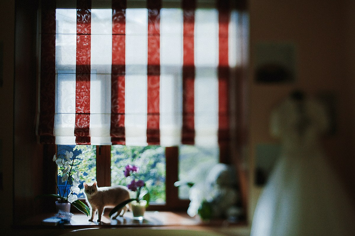 Свадебная прогулка Алекса и Даши. Фотограф крещение венчание в Петербурге! Помогает подобрать храм и посоветовал душевного батюшку в СПб