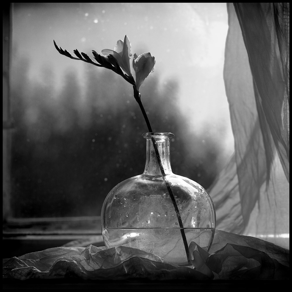 Бесчеловечно. натюрморт. пейзаж. Мастерская Демченко