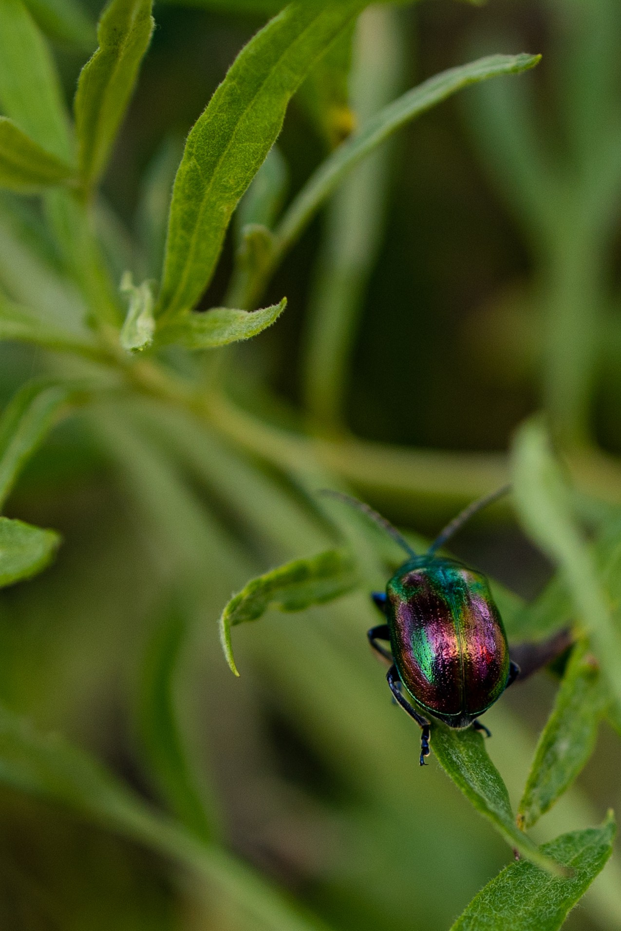Пейзаж. Репортажный Фотограф во Владивостоке и России Осипчук Дмитрий