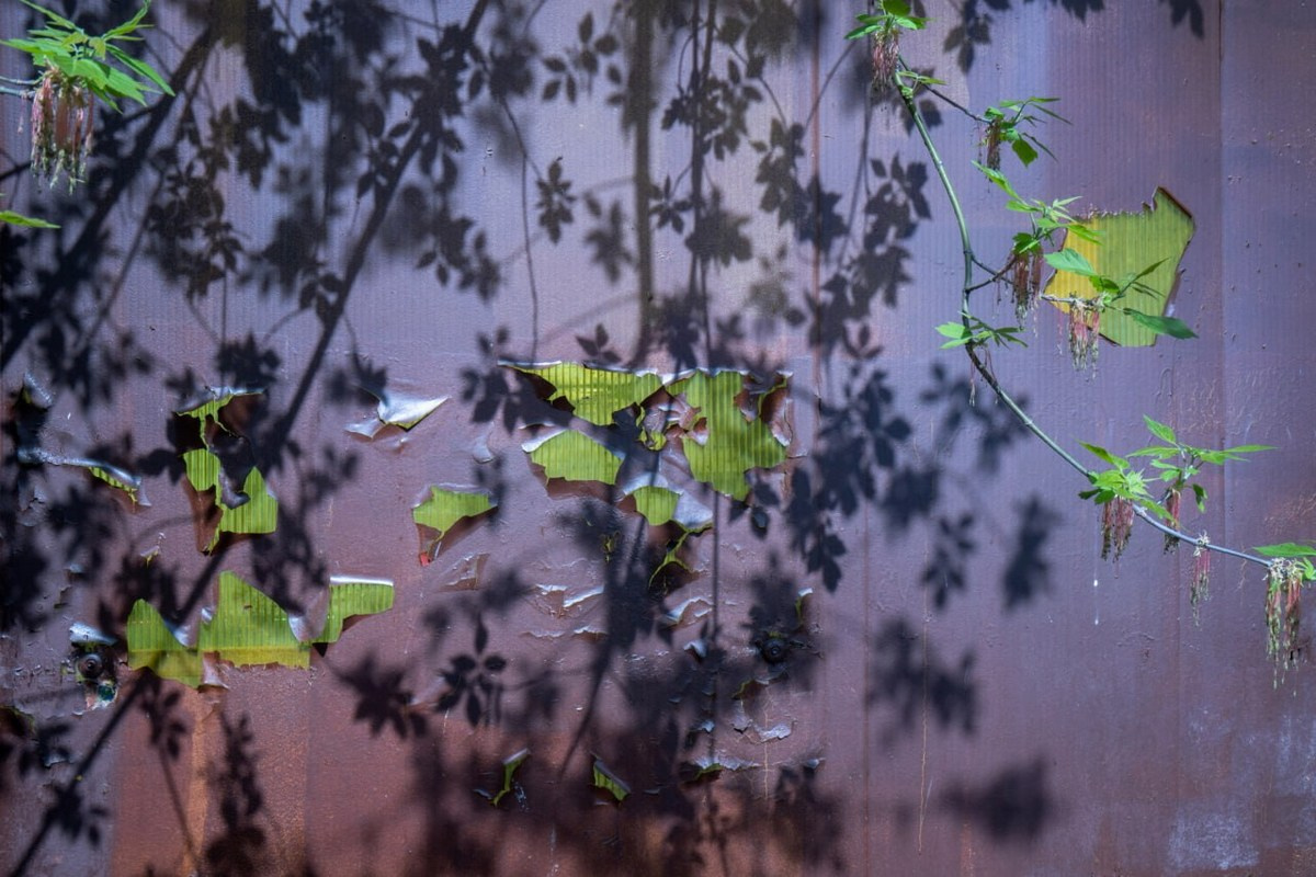 Симуляторы (Каталог № 4). Главная