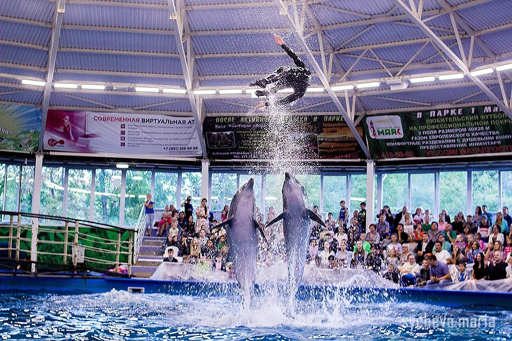 Дельфинарий. Детский и семейный фотограф, фотограф мероприятий Нижний Новгород