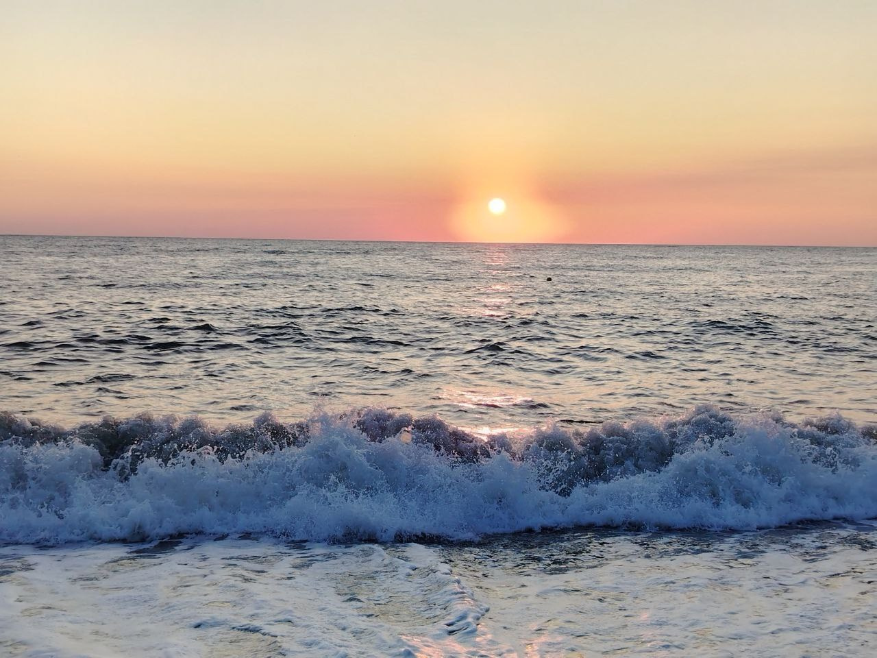 Лето, ах лето. Фотокружок «Видоискатель» ГБОУ СОШ № 291