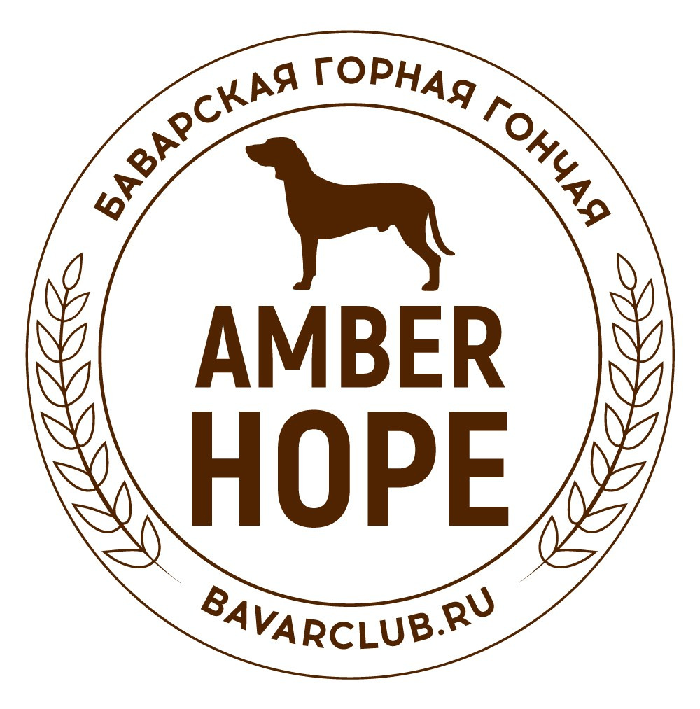Лого для питомника баварских гончих AMBER HOPE. Lana Photo Design