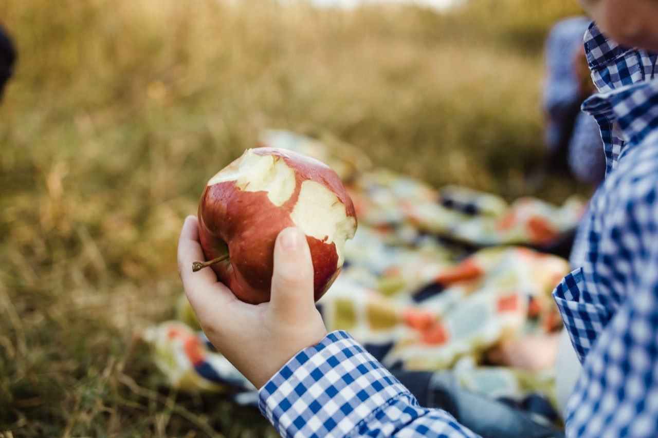 Семейная фотосессия на природе. Семейный и свадебный фотограф в Майкопе Михаил Мартиросян