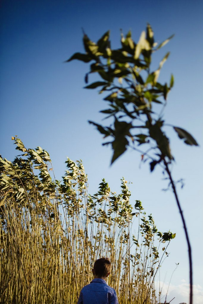 Семейная фотосессия на природе. Семейный и свадебный фотограф в Майкопе Михаил Мартиросян