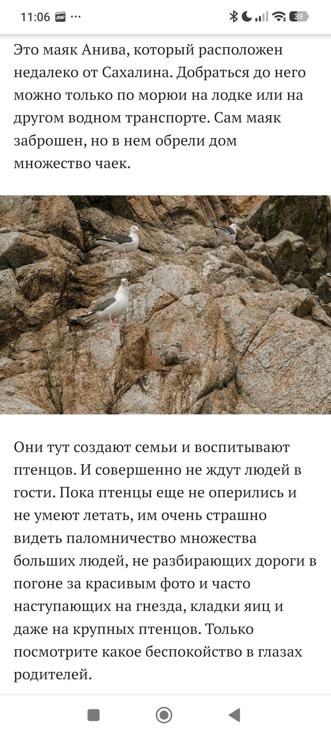 профессиональный фотограф Красноярск