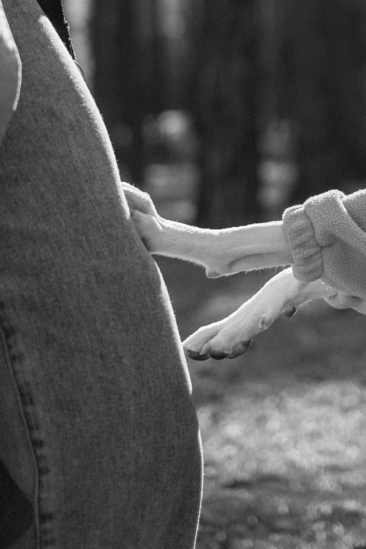 Алиса и Лео. Фотограф — Анималист | Санкт-Петербург