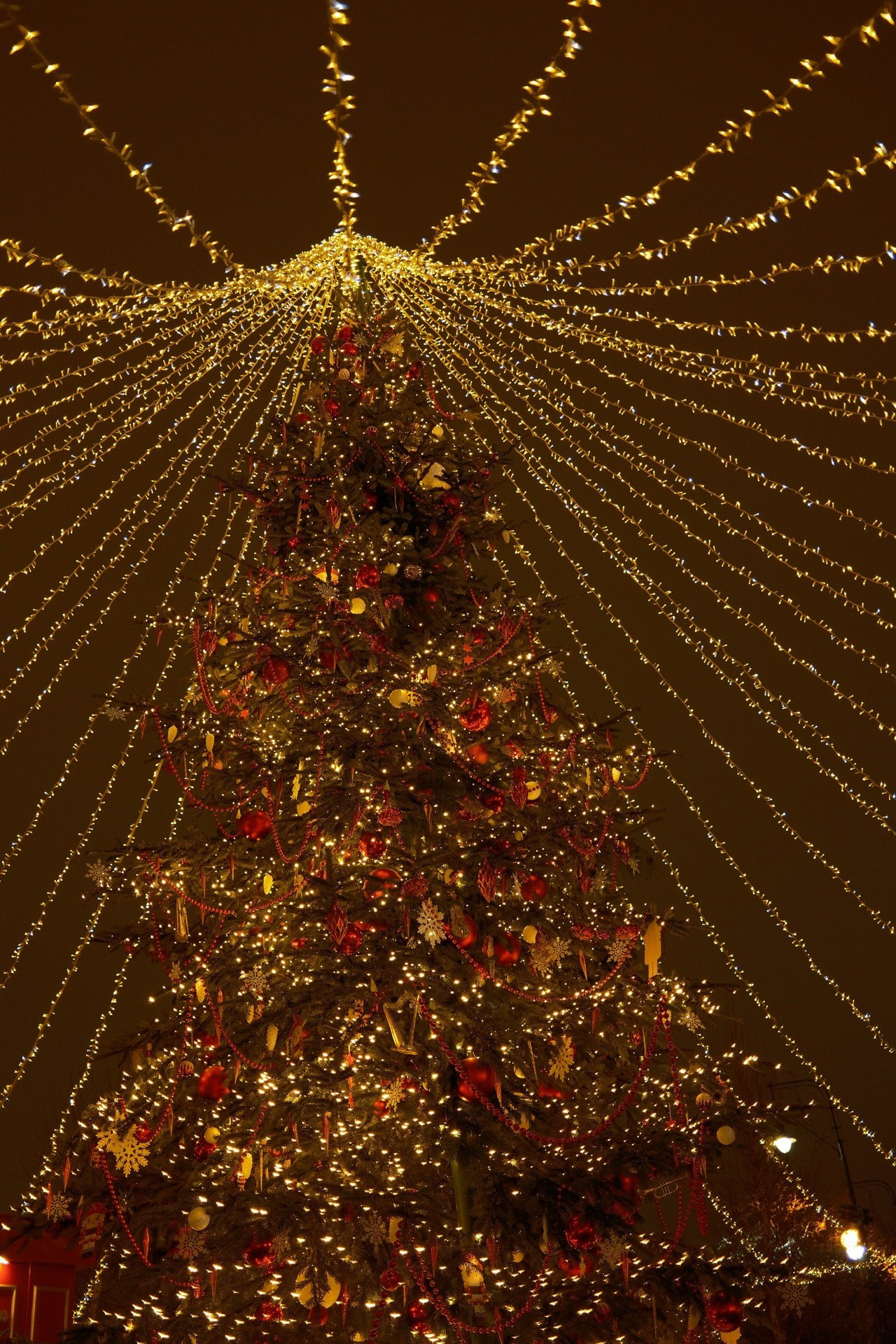 Отзывы. Детский и семейный фотограф в Твери Ольга Крестьянинова