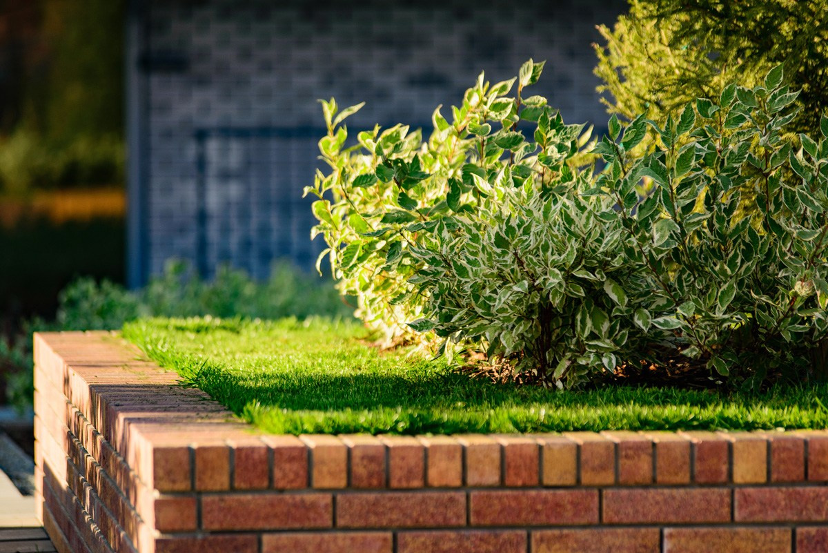 ЖК Ясный Берег. Фотограф Сергей Сергеев