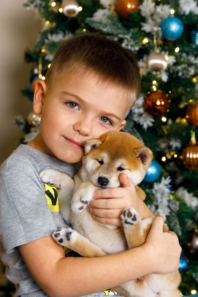 Семейная Съемка. Костин Евгений | Фотограф на свадьбы и мероприятия во Владимирской области