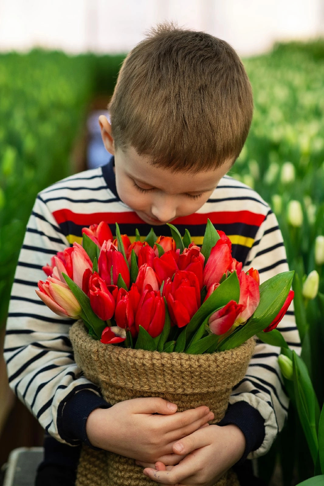 Фотосессия с тюльпанами. Семейный фотограф смоленск