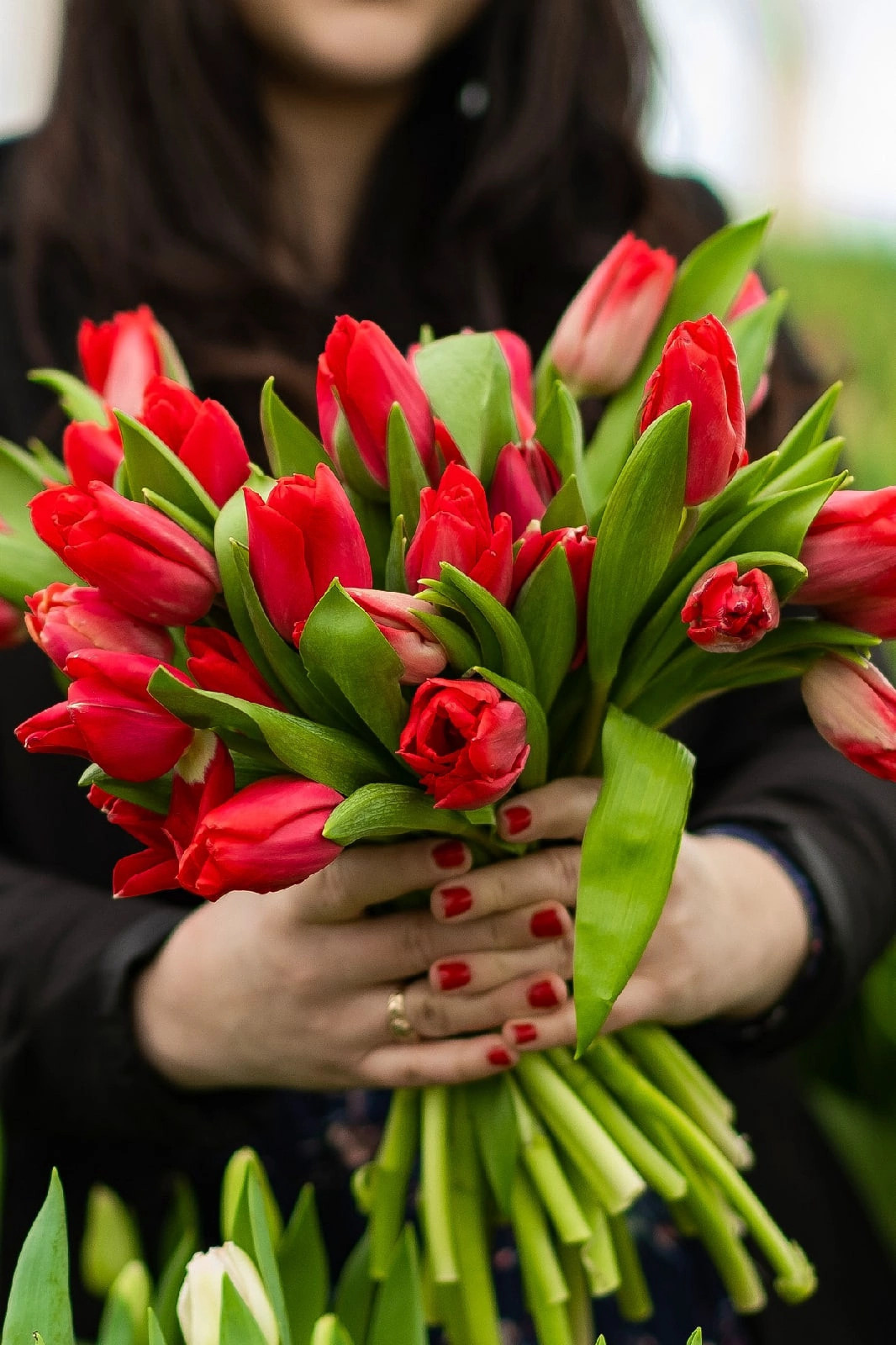 Фотосессия с тюльпанами. Семейный фотограф смоленск