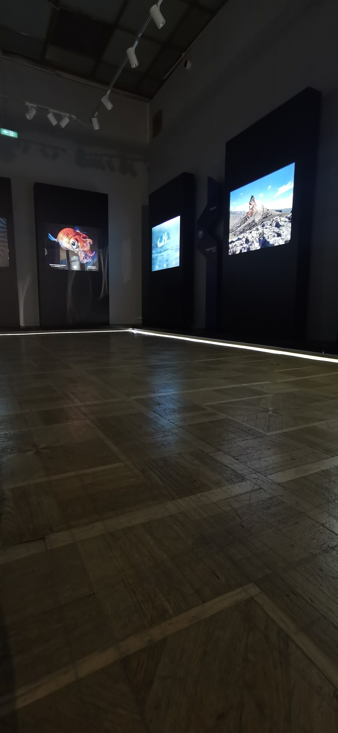 Новости. Выставка РГО. Фототуры и обучение пейзажной фотографии