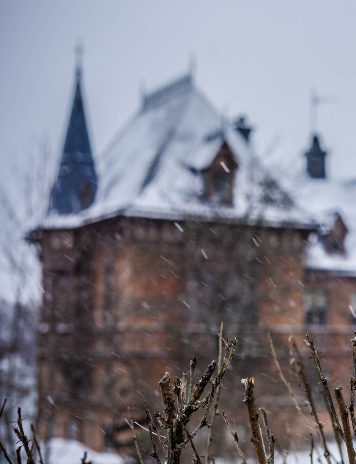 Good Jinx. Фотограф Александра Степанова