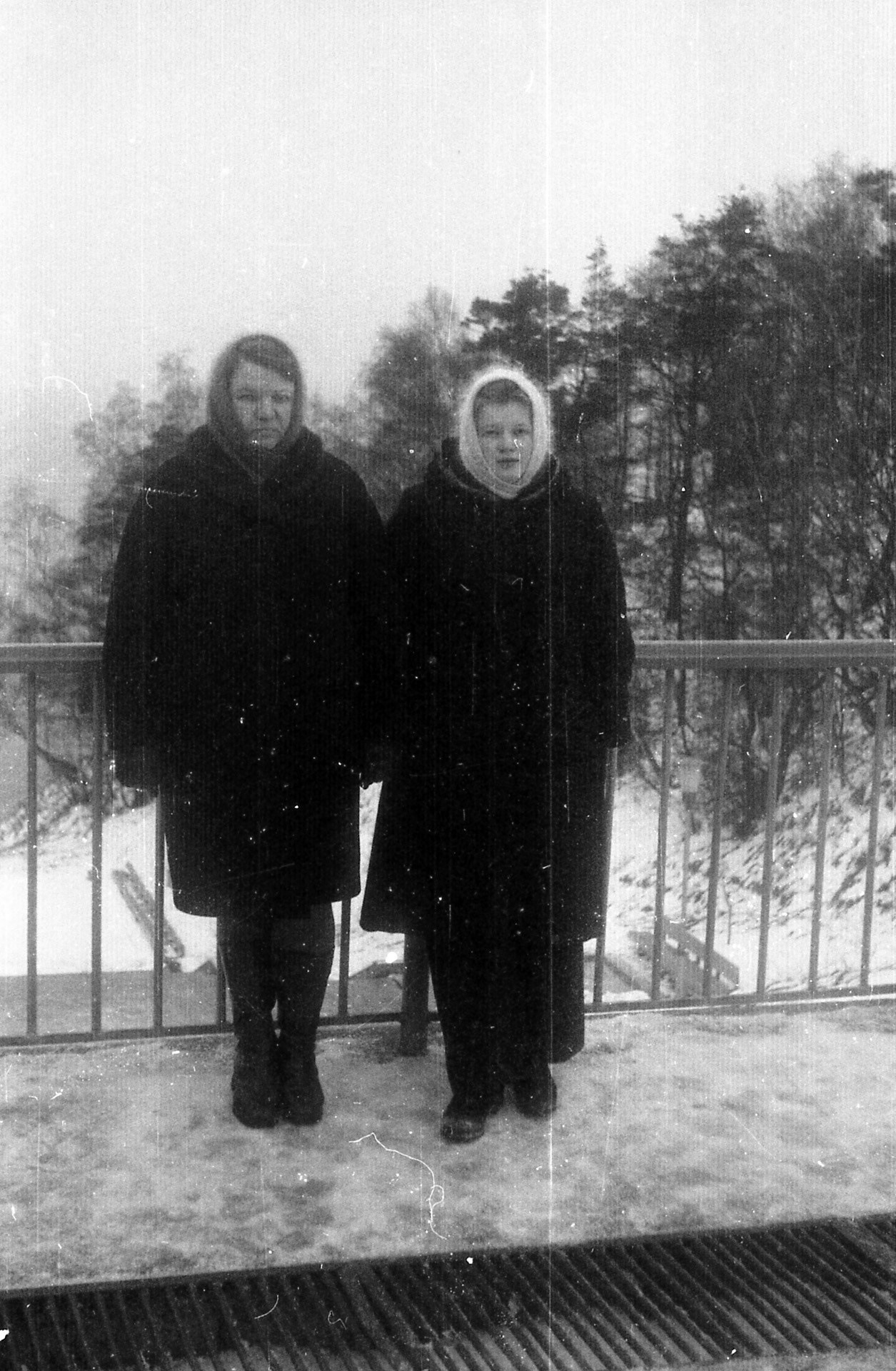 14 — Новогодняя. Михаил Барановский