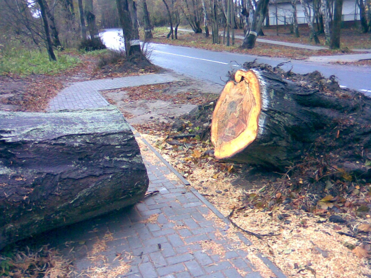 Nokia 7370. Михаил Барановский