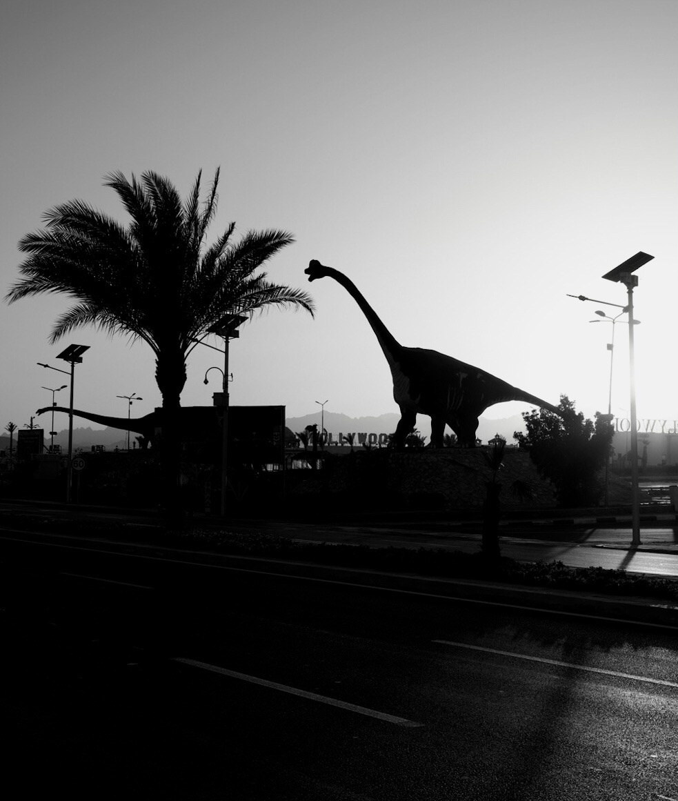 Жанровая фотография. Фотограф Семён Родов